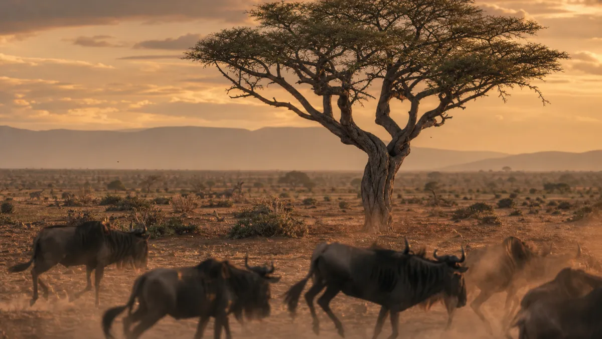 Ville de Mpwapwa en Tanzanie : histoire et culture Wagogo